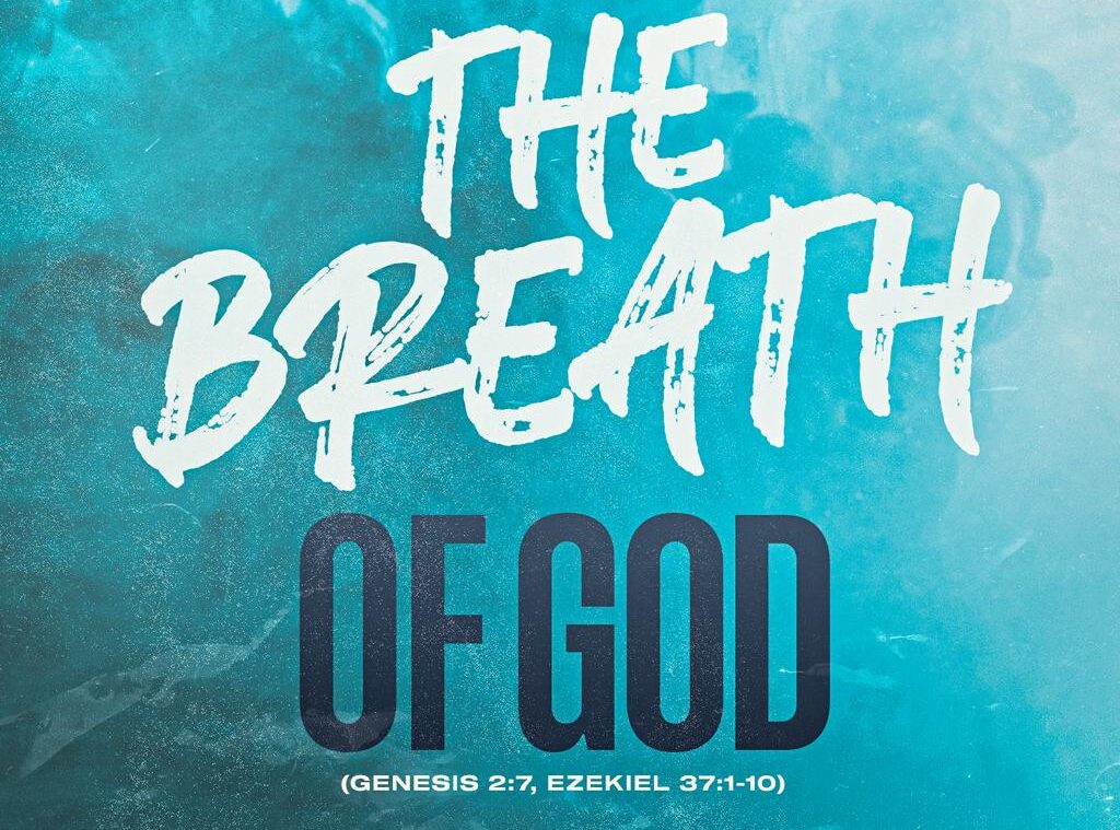 WhatsApp Image 2026-01-01 at 04.18.03